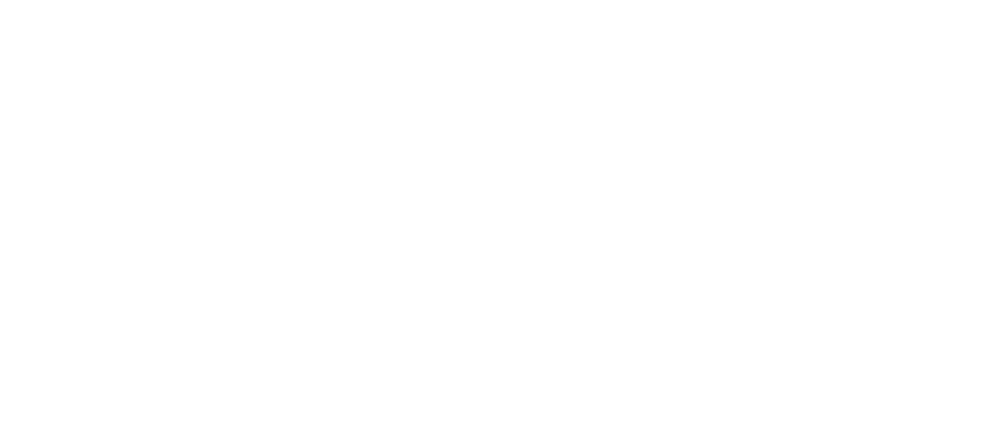 oneplus-logo-png_seeklogo-284982